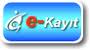  e-kayıt